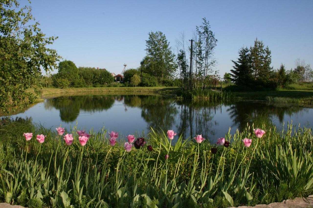 Villa Dikisi Daugavpils Esterno foto