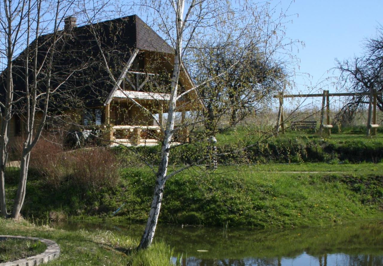 Villa Dikisi Daugavpils Esterno foto