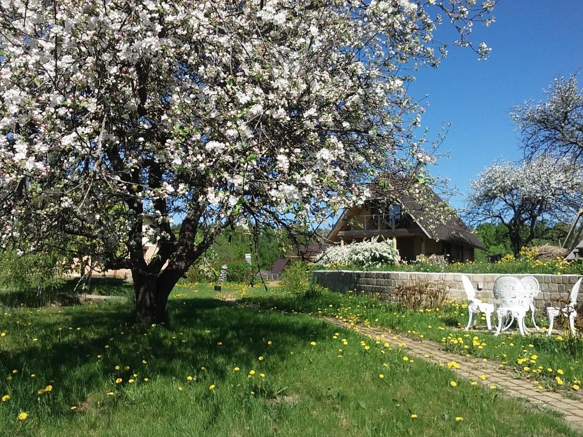 Villa Dikisi Daugavpils Esterno foto